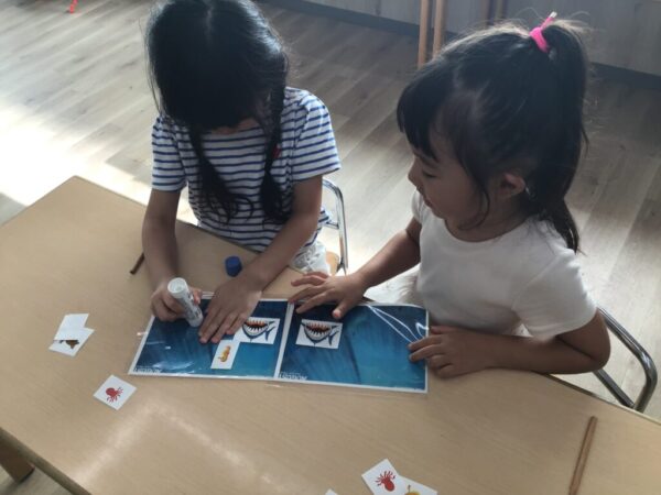 special activity 